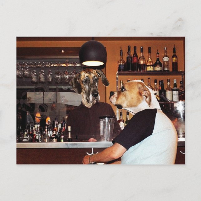 In the bar postcard (Front)