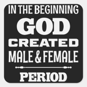 In the Beginning God Created Male and Female T-Shi Square Sticker