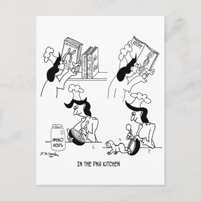 In the DNA Kitchen Postcard (Front)