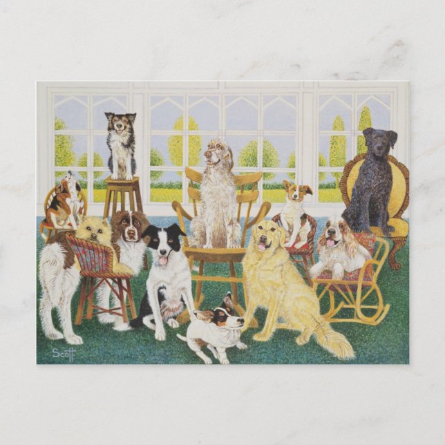 In the Dog House Postcard (Front)