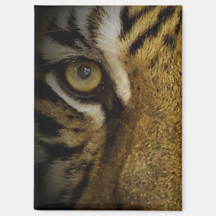 In the Eye of a Tiger Magnet