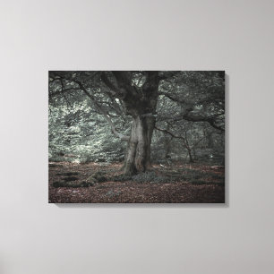 In the fairytale forest canvas print