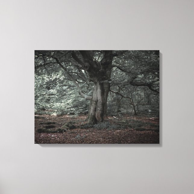 In the fairytale forest canvas print (Front)