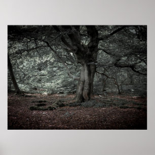 In the fairytale forest poster