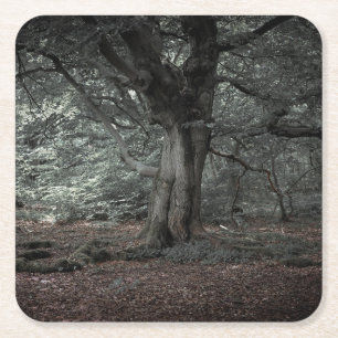 In the fairytale forest square paper coaster