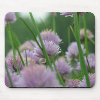 in the field of dreams mouse pad