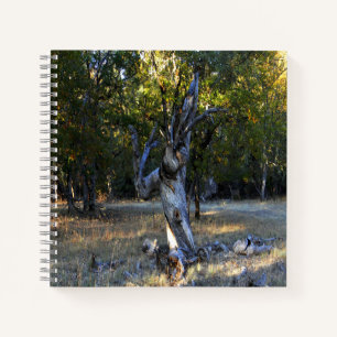 In the Forest.... Notebook