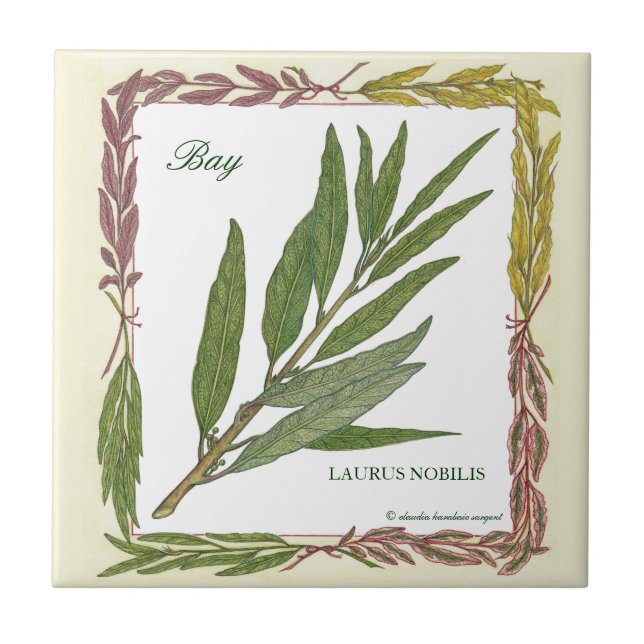 In the Garden ~ Bay Leaf Tile (Front)