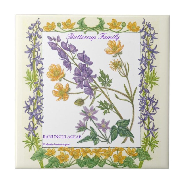In the Garden ~ Buttercup Family  Tile (Front)