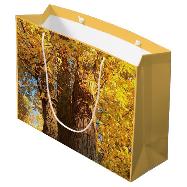 In the Glow of Golden Maple Leaves - Large Gift Bag (Back Angled)
