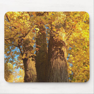 In the Glow of Golden Maple Leaves - Mouse Pad