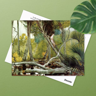 In the Jungle Florida Winslow Homer Postcard