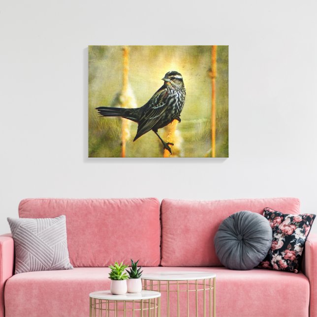 In the Limelight Canvas Print (Insitu(LivingRoom))