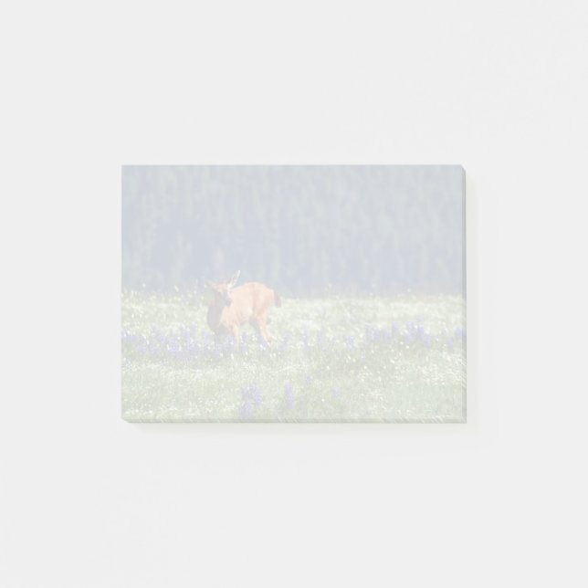 In the Meadow Post-it Notes (Front)