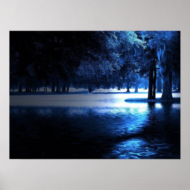 In the Moonlight Poster (Front)