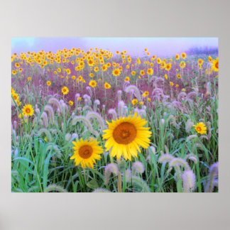 In the morning , print