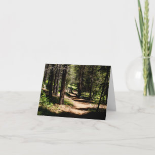 In the Pines- Winter Park Colorado Note Card