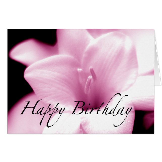 In the Pink (Front Horizontal)