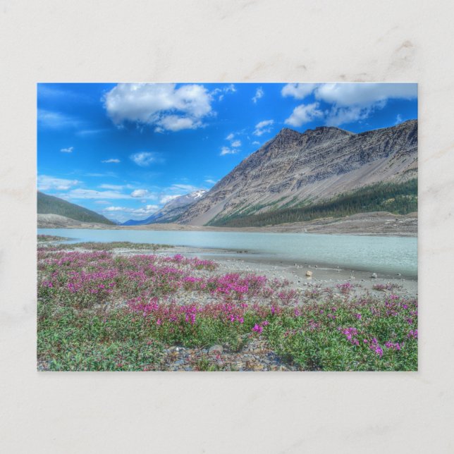 In the Rocky Mountains of banff Postcard (Front)