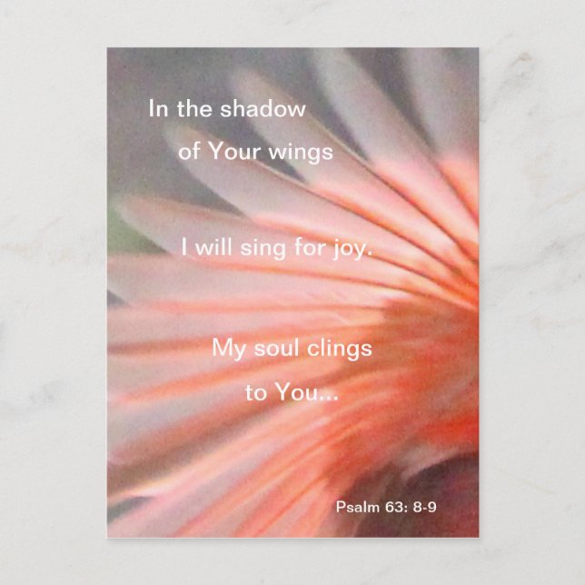 In the shadow of His wings Postcard (Front)