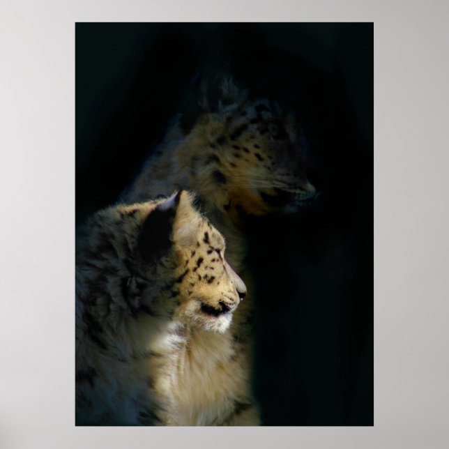 In the Shadows Poster (Front)