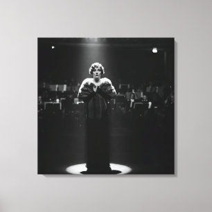 In the Spotlight, by Natasha Us Canvas Print