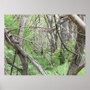 In the thicket poster