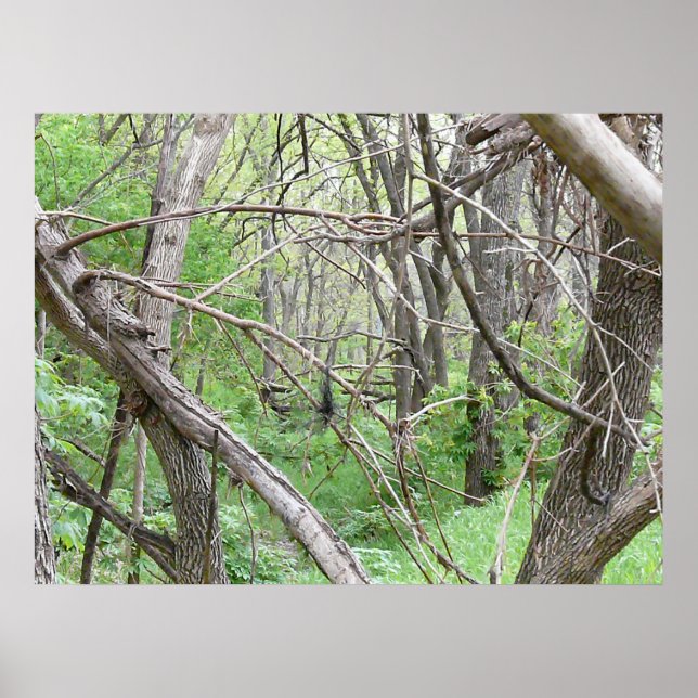 In the thicket poster (Front)