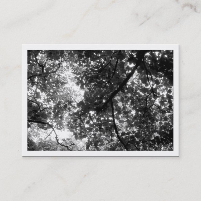 In the Trees, Mini Photo (white bordered) Business Card (Front)