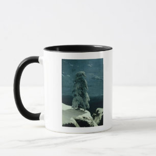In the Wild North, 1891 Mug