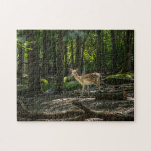 In the Woods Jigsaw Puzzle