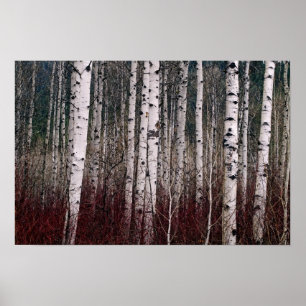 In The Woods. Poster