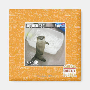 In there? Is Kold! Magnet