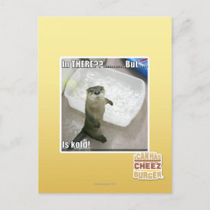 In there? Is Kold! Postcard