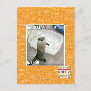 In there? Is Kold! Postcard