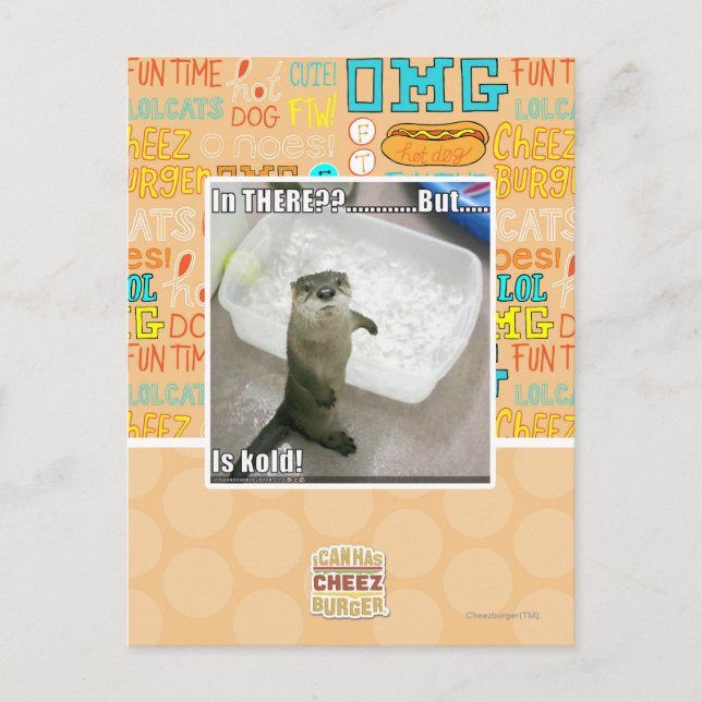 In there? Is Kold! Postcard (Front)