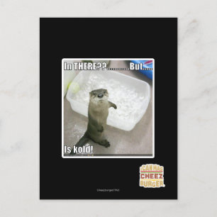 In there? Is Kold! Postcard