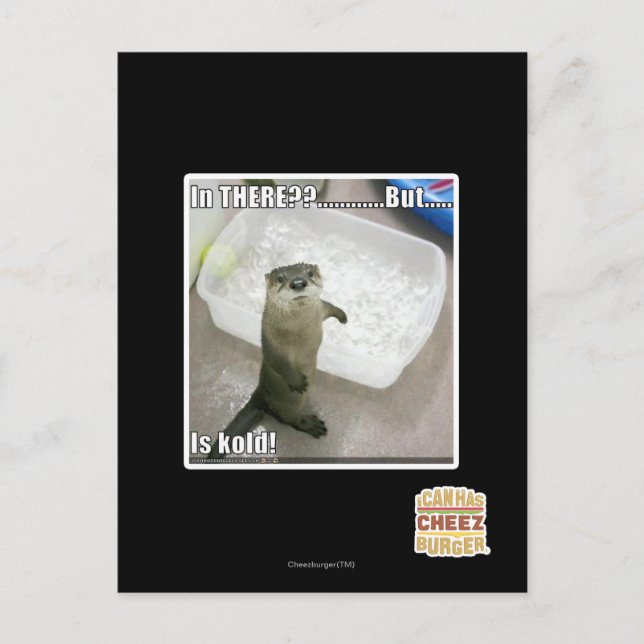 In there? Is Kold! Postcard (Front)