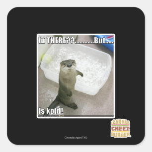 In there? Is Kold! Square Sticker