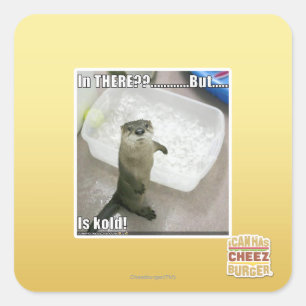 In there? Is Kold! Square Sticker