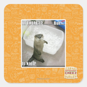 In there? Is Kold! Square Sticker