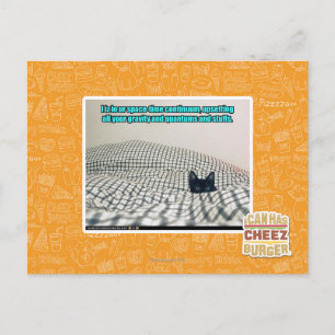 In ur Space Time Continuum Postcard