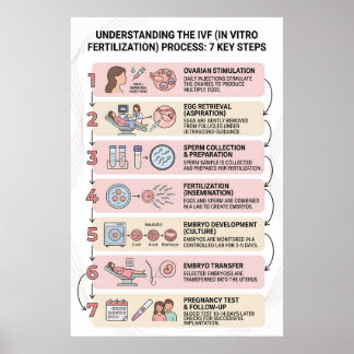 In Vitro Fertilisation (IVF) Process Explained: 7  Poster