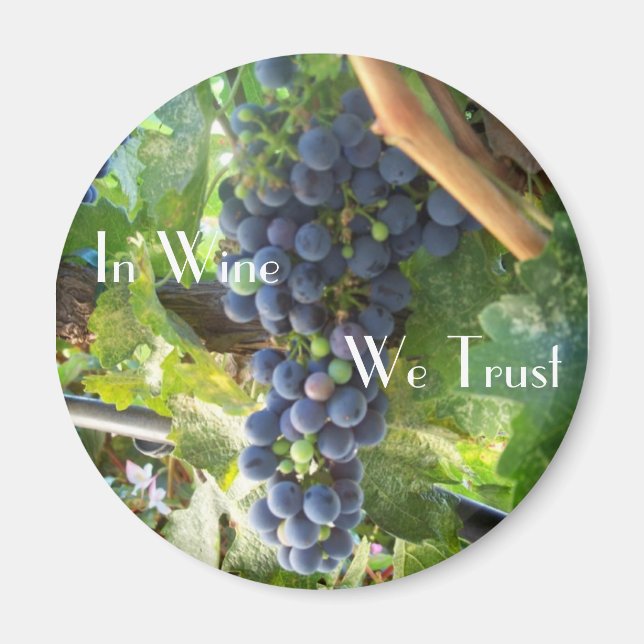In Wine We Trust Magnet (Front)
