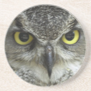 In Your Face Owl Coaster