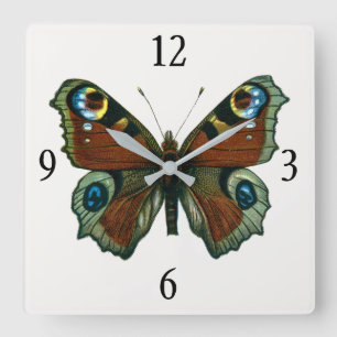 Inachis io - The European Peacock Butterfly Square Wall Clock
