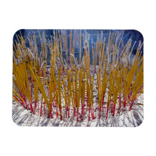 Incense in a temple, Zhongdian, Yunnan - China Magnet