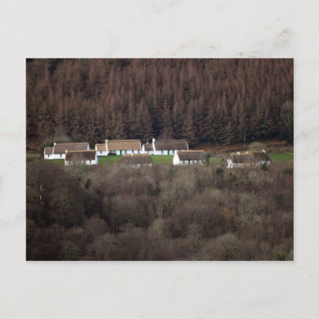 Inchquinn Thatched cottages Postcard (Front)