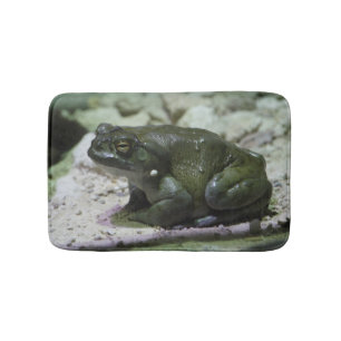 Incilius alvarius bath mat