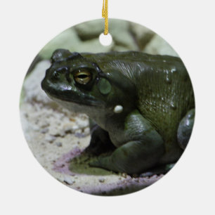 Incilius alvarius ceramic tree decoration